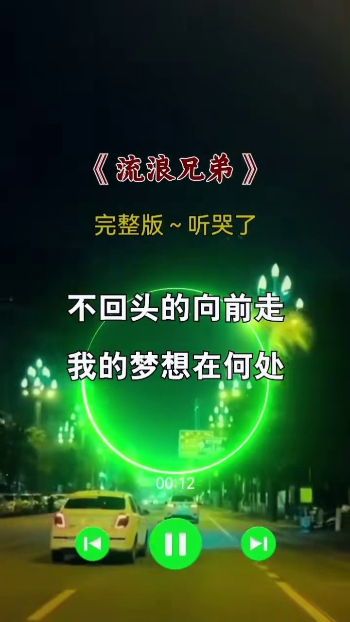 流浪兄弟 #完整版 #伤感音乐 #听哭了