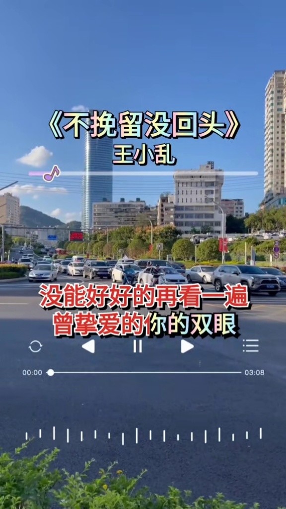 傷感歌曲#不挽留沒回頭王小亂 完整版