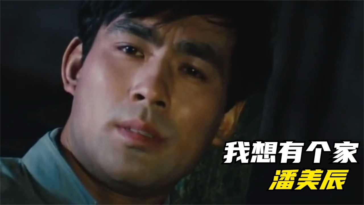  - 潘美辰经典歌曲《我想有个家》，老许只要你开金口，就给你一个家