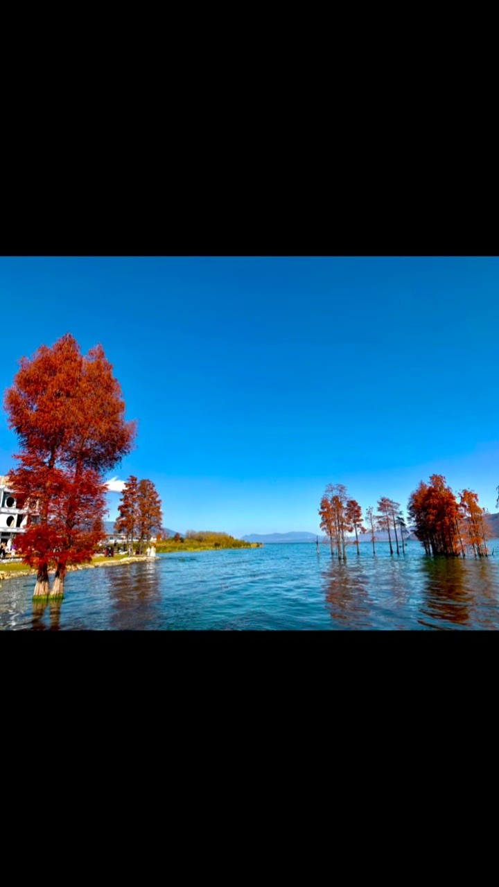 听闻远方有你-高清mv在线看-qq音乐-千万正版音乐海量无损曲库新歌热