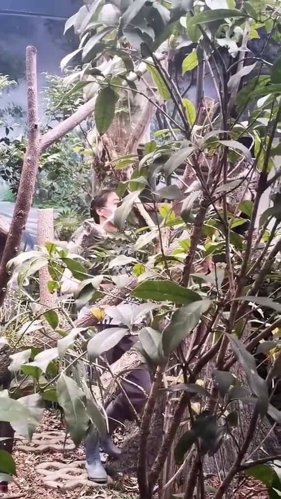  - 这份工作也太让人羡慕了吧，考拉好乖啊！