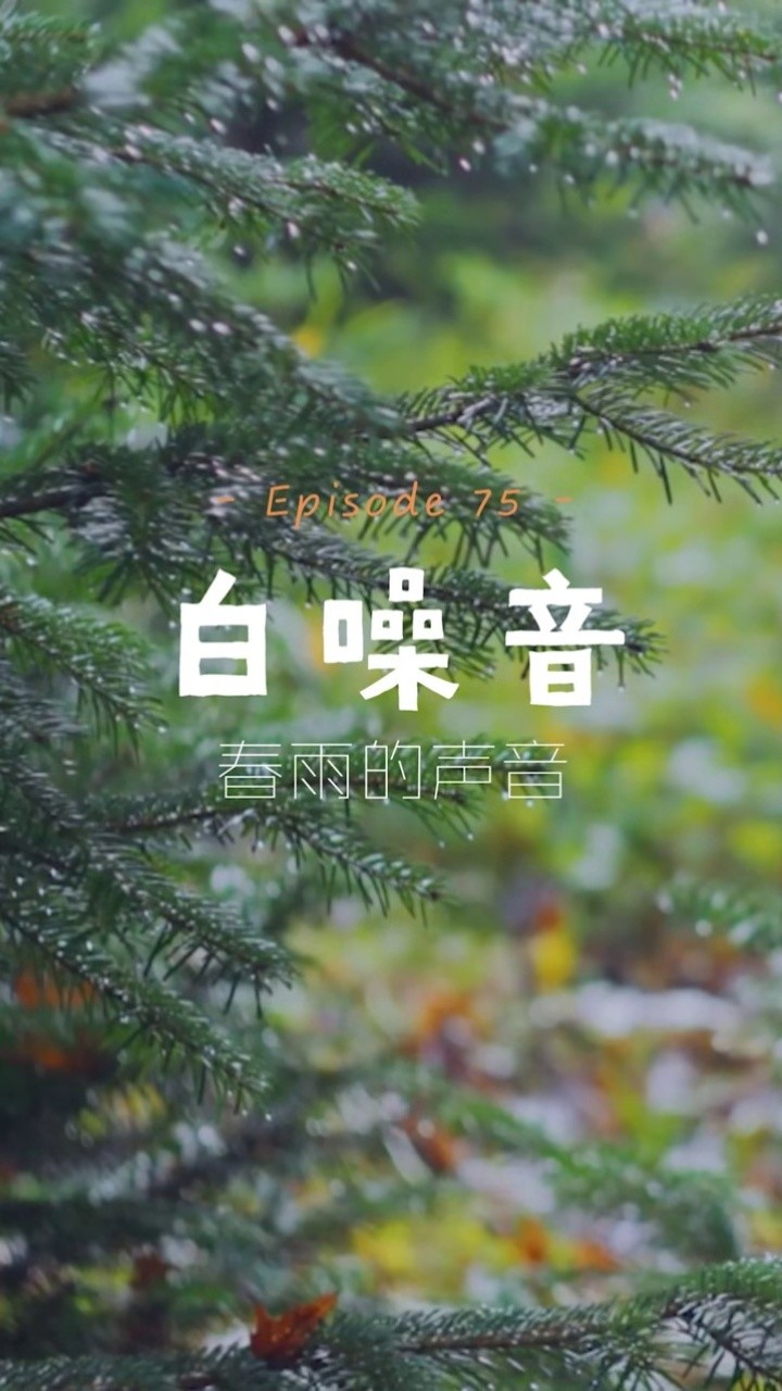 【白噪音】春雨的声音asmr,为了睡眠的摇篮曲~#白噪音 #助眠 #失眠