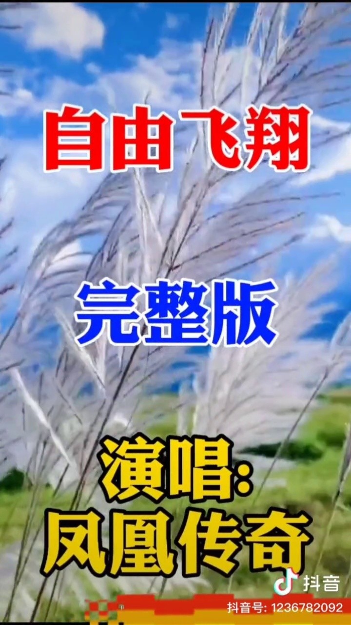 自由飞翔 原唱 凤凰传奇