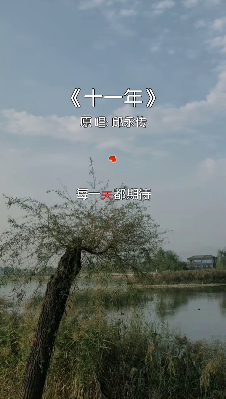 钟情于你,终止于你…#十一年 #音乐 #经典