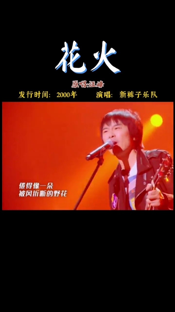 希望疫情赶快结束,需要一场音乐节来发泄一下#花火 #新裤子 #摇滚现场