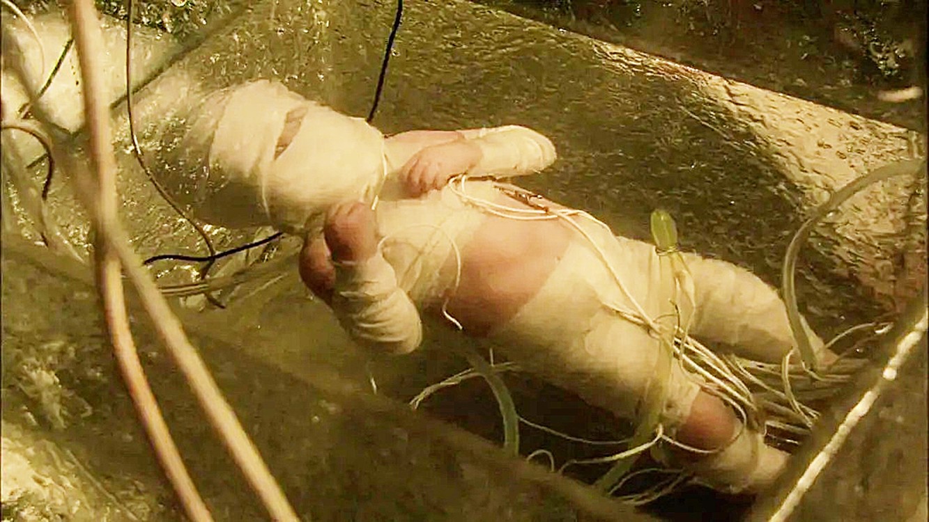 男孩被恶魔夺走48个器官,每消灭一只,就能找回一个部位