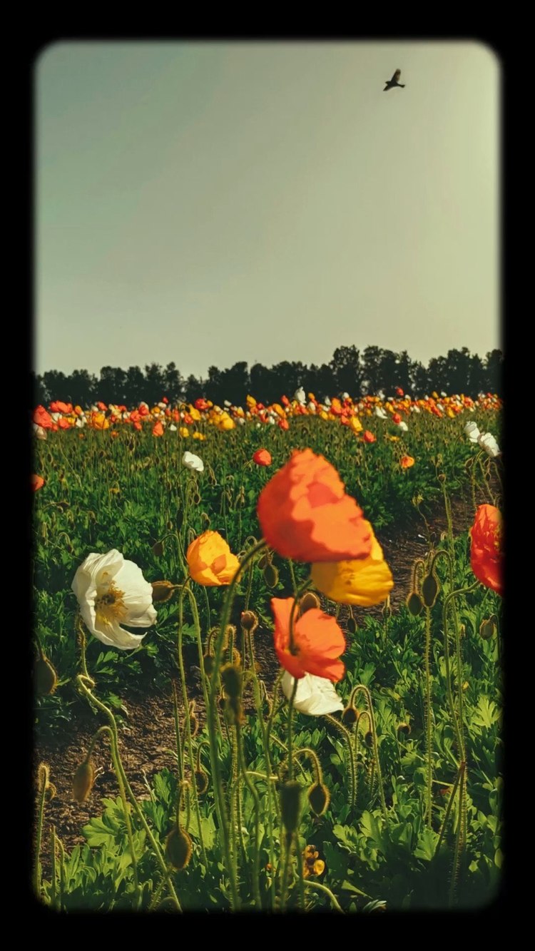  - 五一假期结束