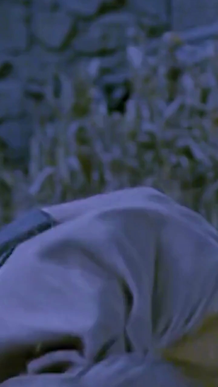  - 没光的时候，影子都会离开你