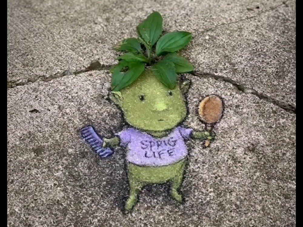  - 人人都是艺术家 只要你有一双发现美的眼睛