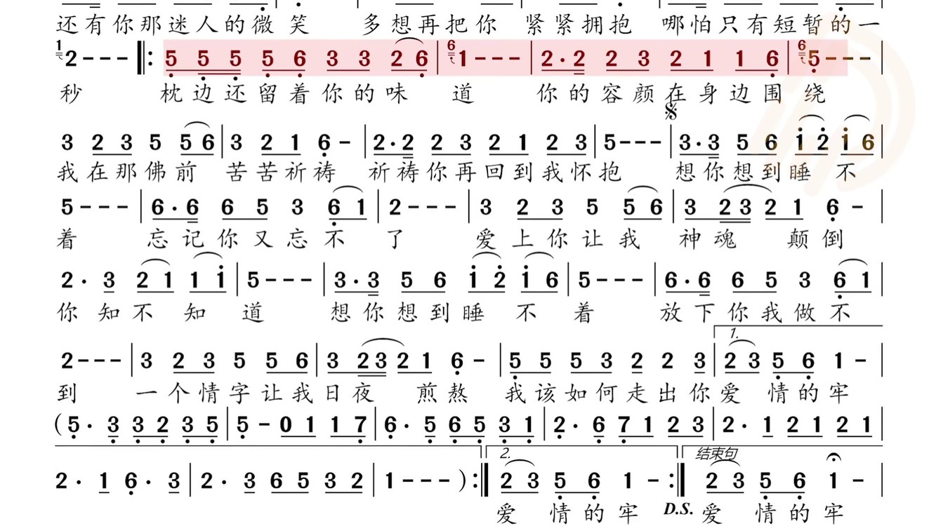 想你想到睡不着歌词图片