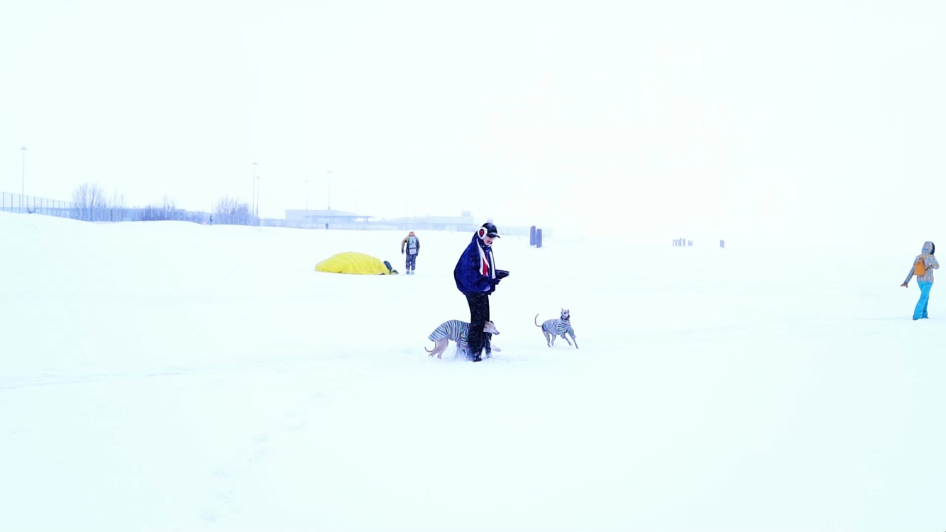  - 忘掉袁华，我唱歌养你啊#一剪梅 cover