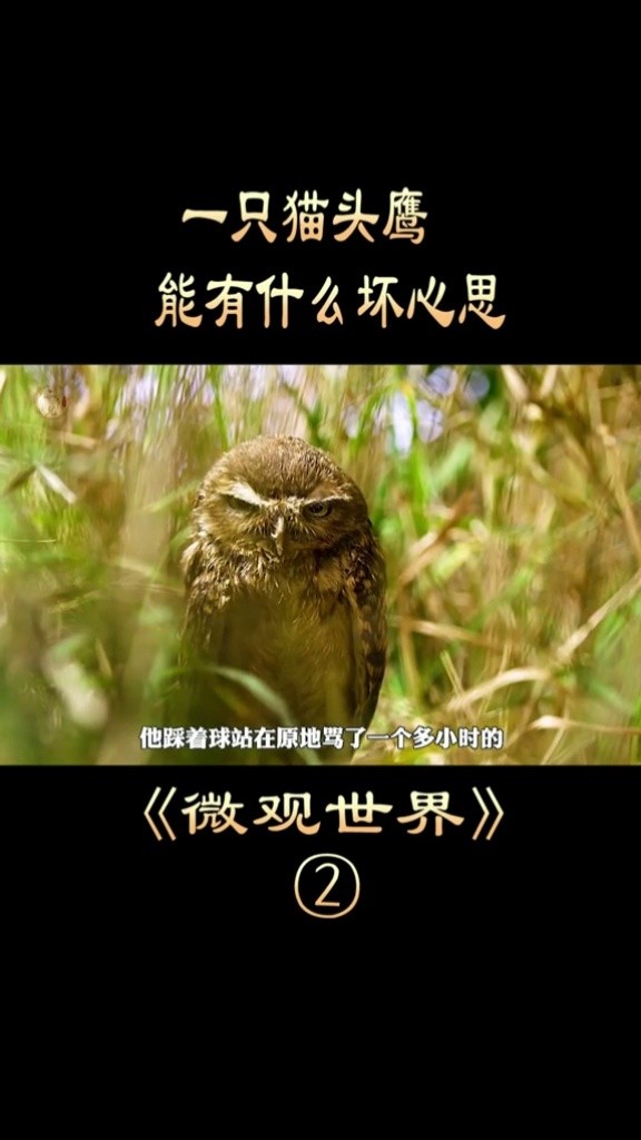 能有什么坏心思#电影解说#纪录片解说#纪录片#微观世界#萤火虫计划