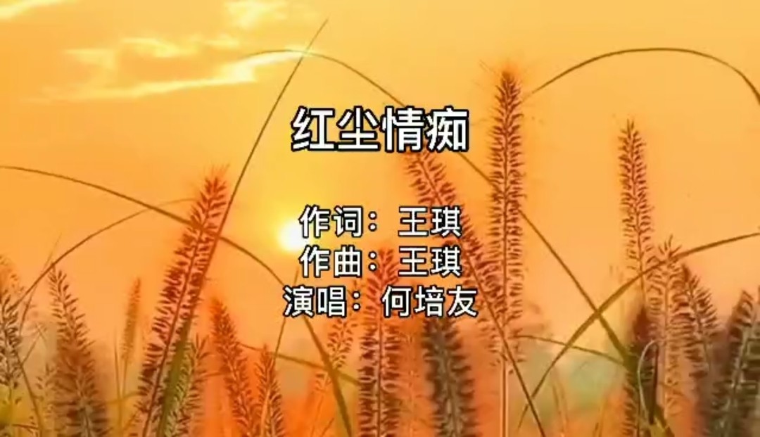  - 原唱：王琪    翻唱：何培友