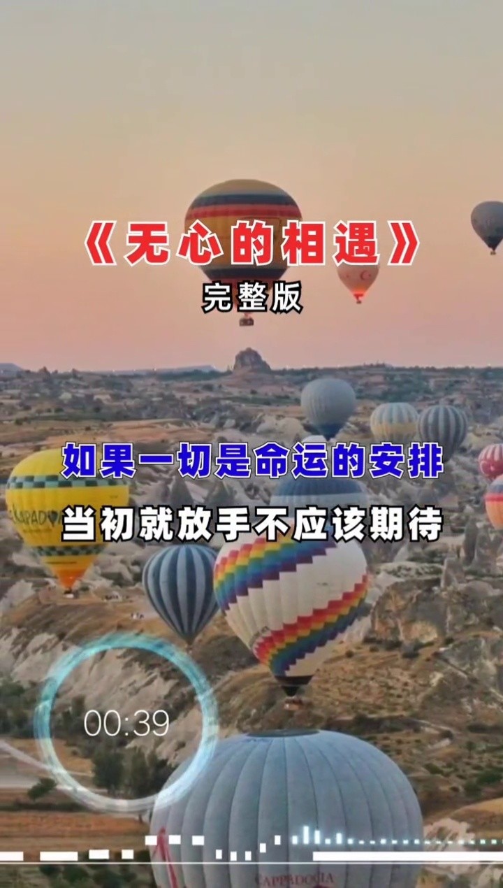 歌曲无心的相遇图片