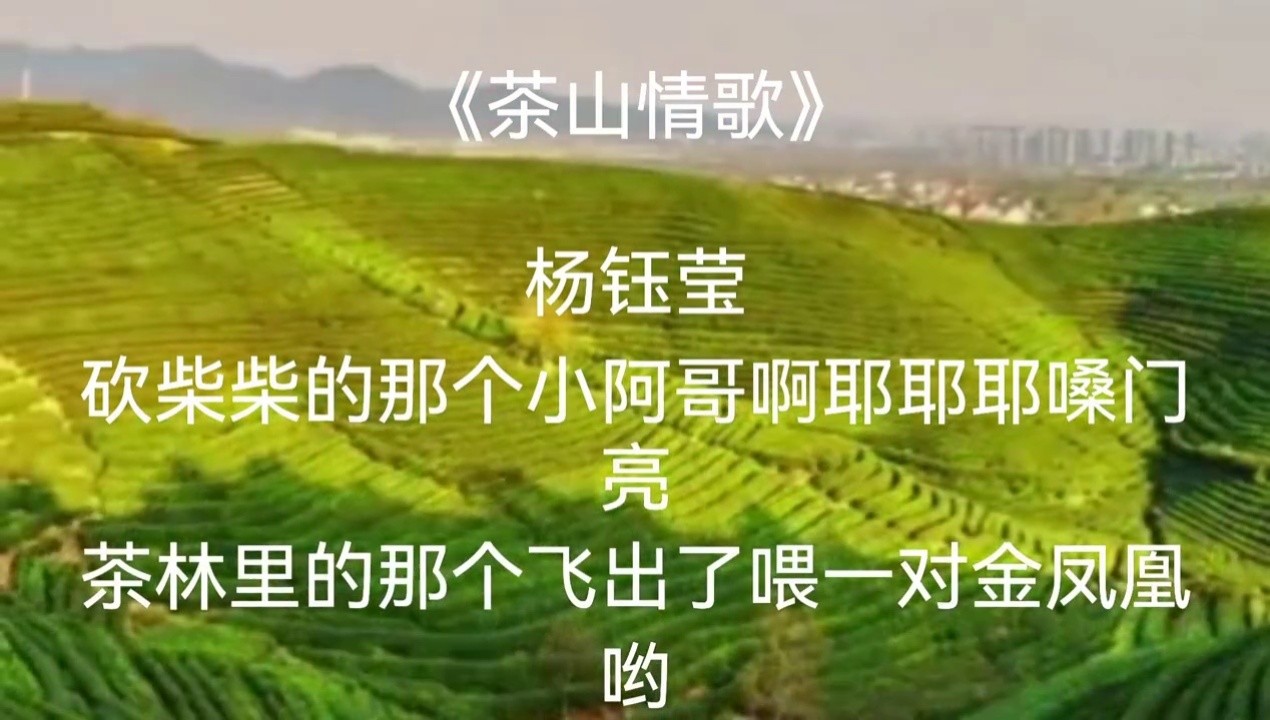 茶山情歌楊鈺瑩