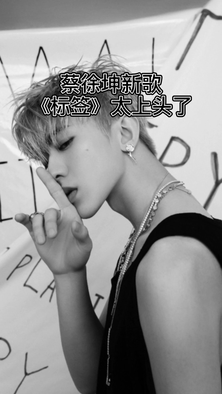 蔡徐坤新歌标签