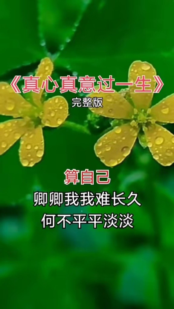 经典歌曲情人知己叶倩文的歌声真是百听不厌