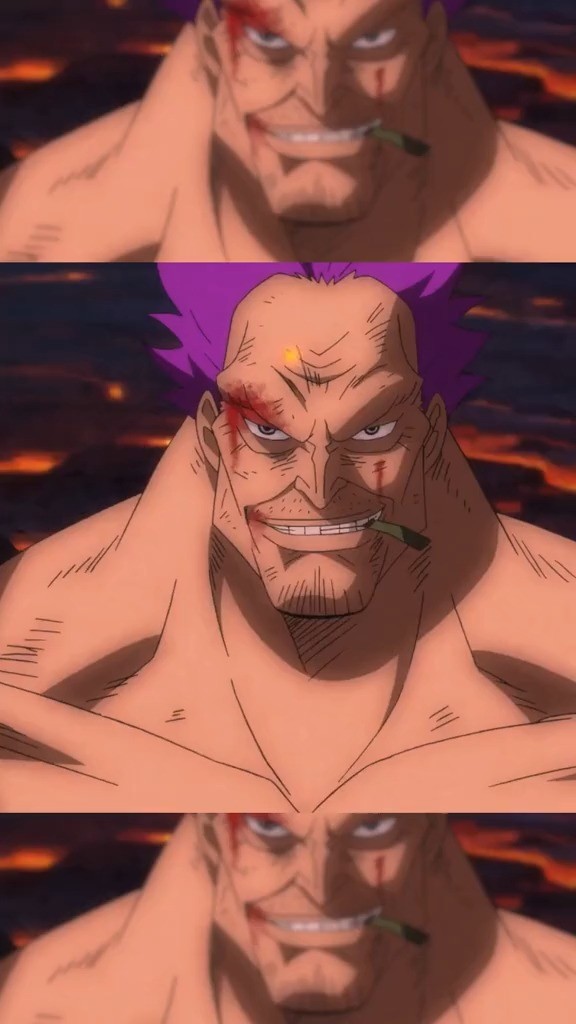 永别了,泽法老师