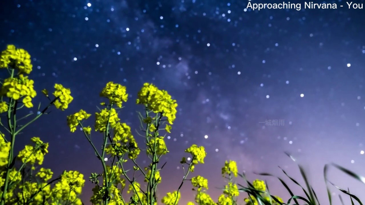 夜空中最亮的星-高清mv在线看-qq音乐-千万正版音乐海量无损曲库新歌