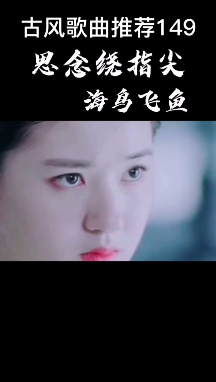 海鸟飞鱼思念绕指尖