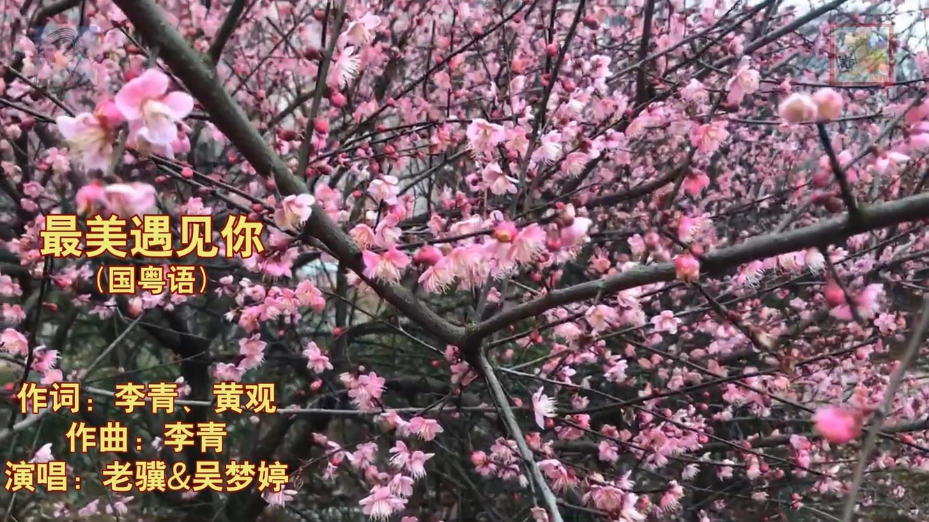 - 最美遇见你(国粤语)