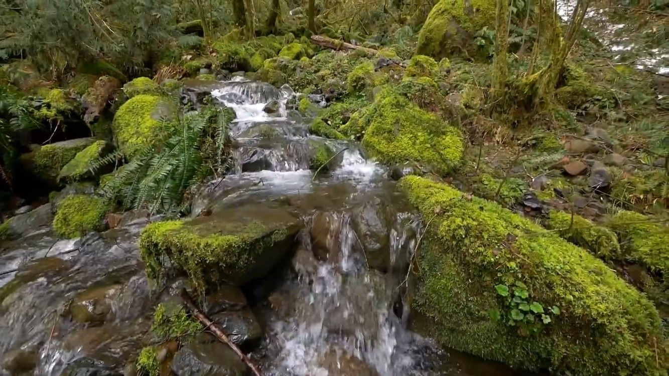  - 伤心🈹️韭菜