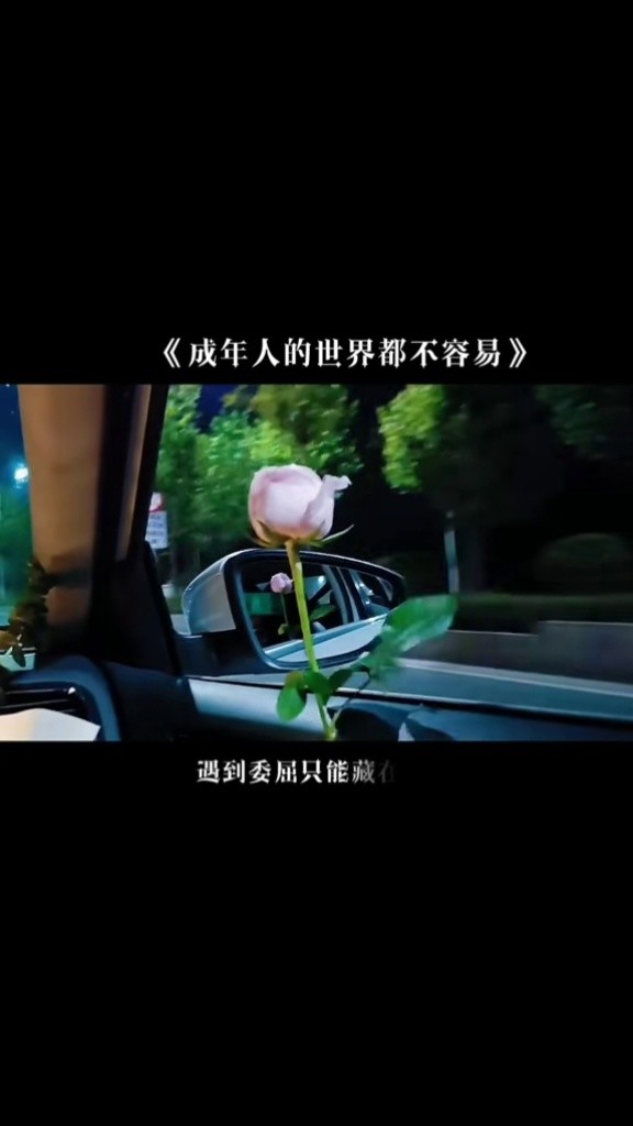 成年人的世界都不容易