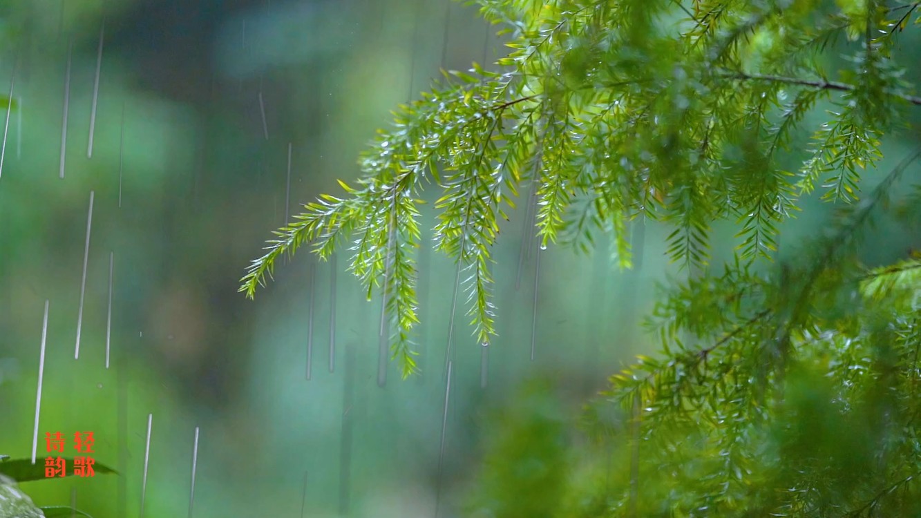 唐朝妖姬主题曲飞花翻唱古风背景制作诗韵轻歌