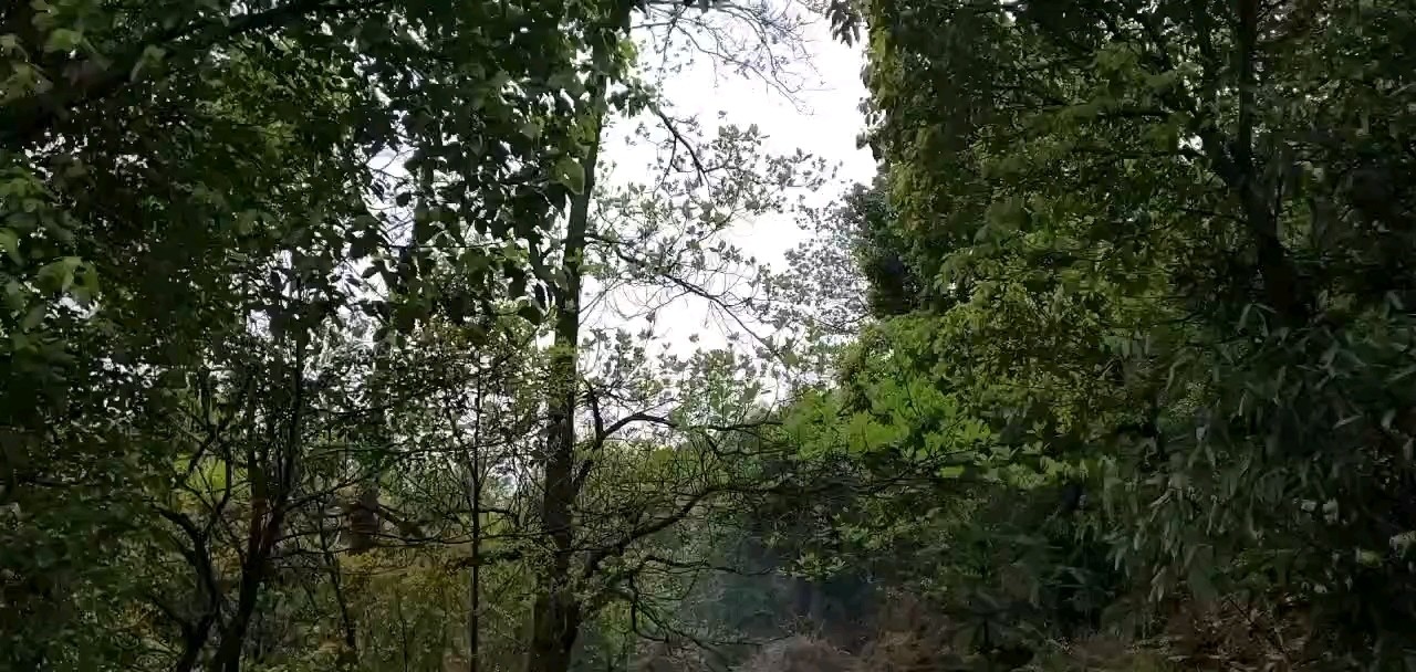  - 我们一起山河令＾