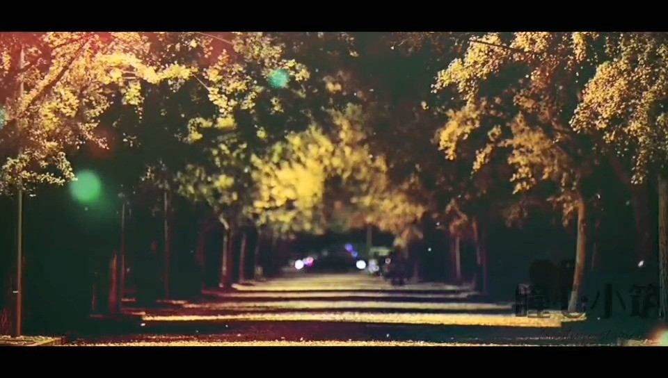  - 深夜电台-可是你真的，对我很重要