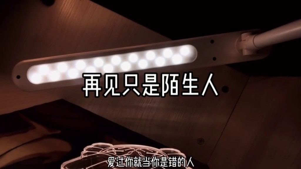 再见只是陌生人