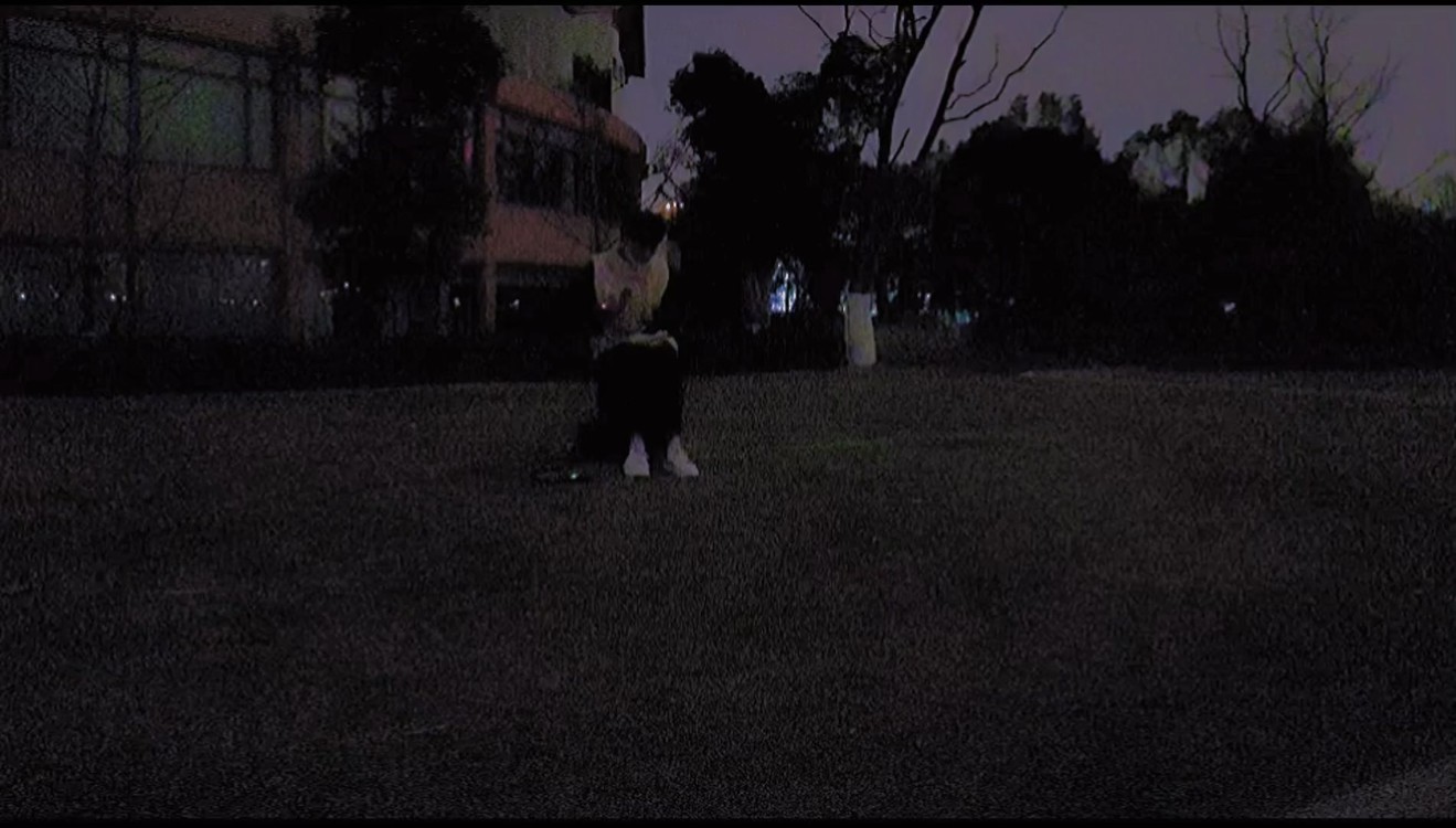  - 星星我偷偷藏起来了，等到你失忆黯然，用来装饰你的眼睛。