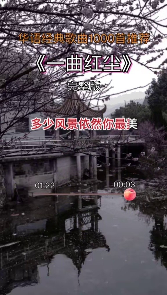 一曲红尘 #怀旧经典 #伤感歌曲 #经典歌曲 #百听不厌