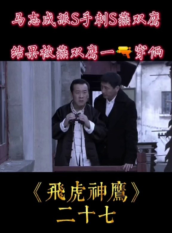 燕双鹰我的观影报告飞虎神鹰