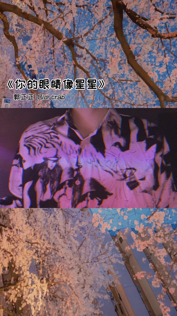 《你的眼睛像星星》苏白