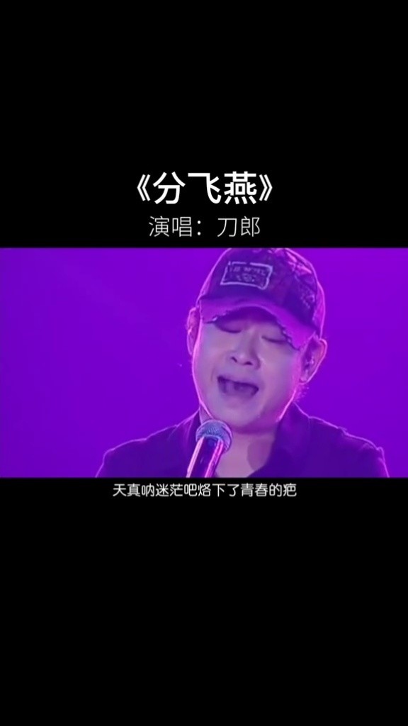 刀郎 又一首震撼内心深处的歌曲《#燕分飞》唱的撕心裂肺,太伤感了
