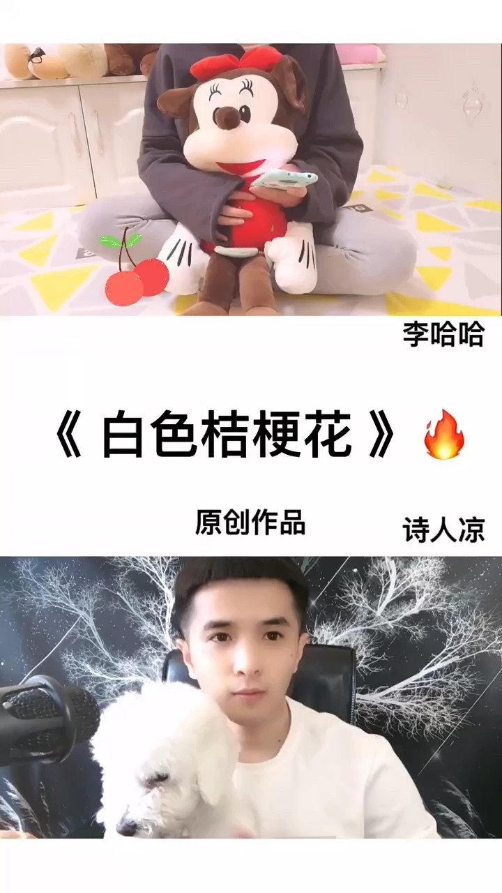歌词版李哈哈白色桔梗花mv