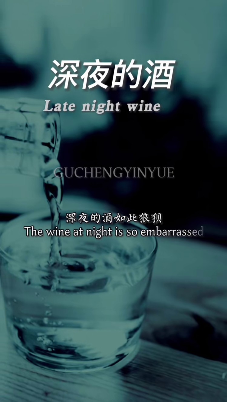 伤感音乐 深夜的酒 我要流量