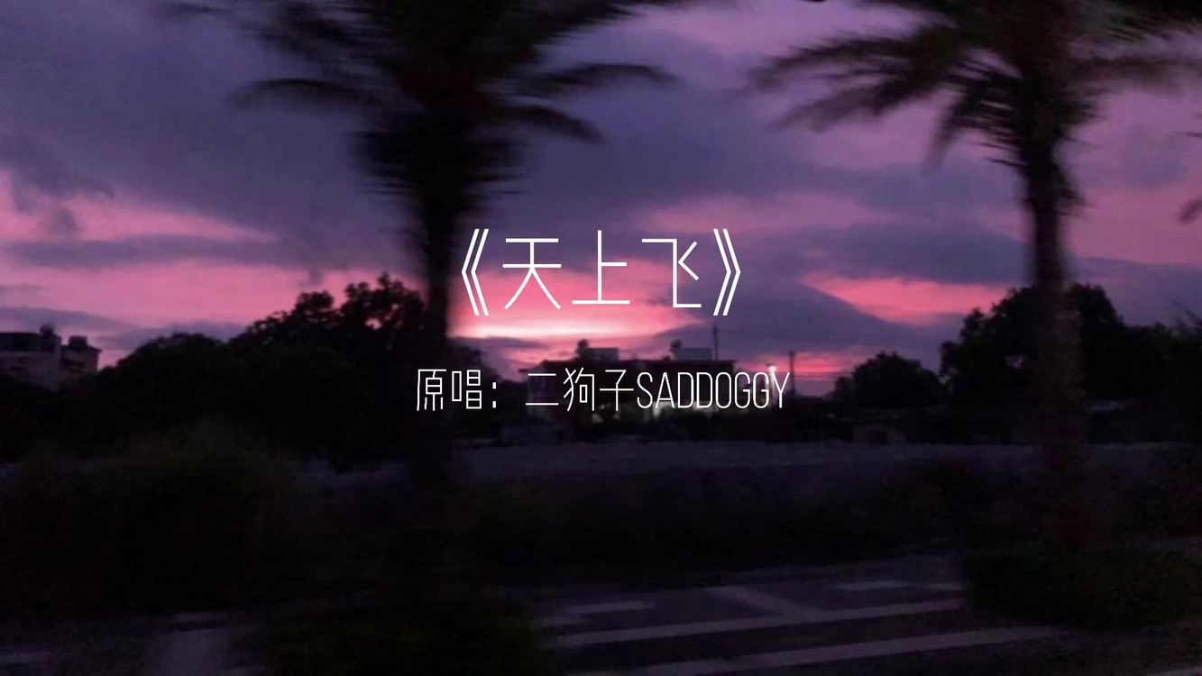  - 天上飞
