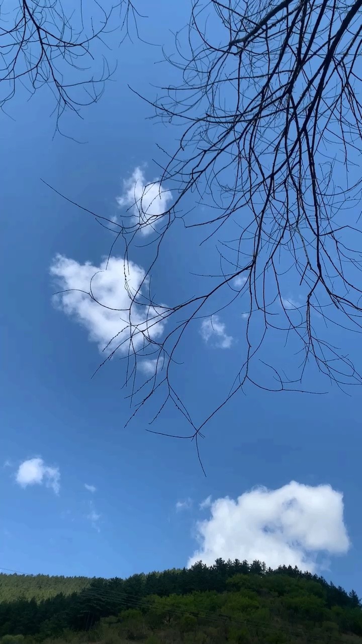  - 还记得最初的梦想吗