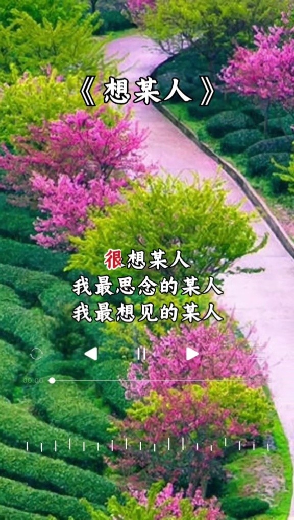 想你想你想我(enenen想你想你想我)
