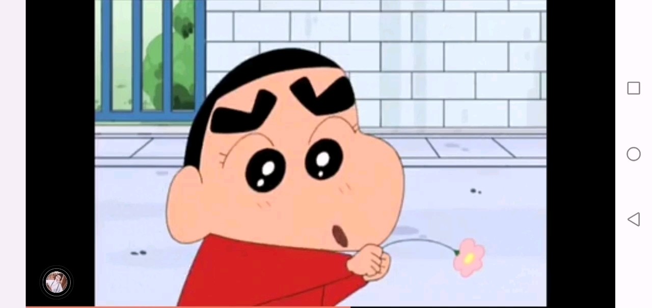 七歌的蜡笔小新来咯