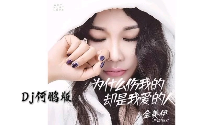 - 金美伊Dj版《为什么伤我的却是我爱的人》这一路爱的好累