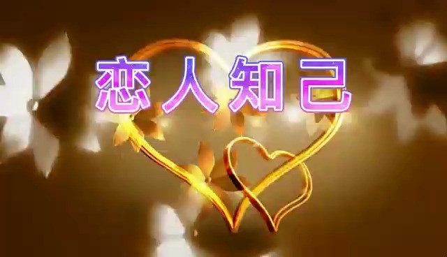  - 张力庭-恋人知己