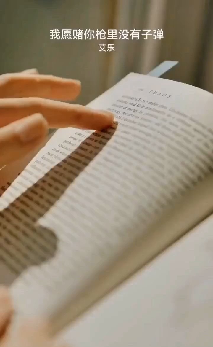  - 艾乐《我愿赌你枪里没有子弹》