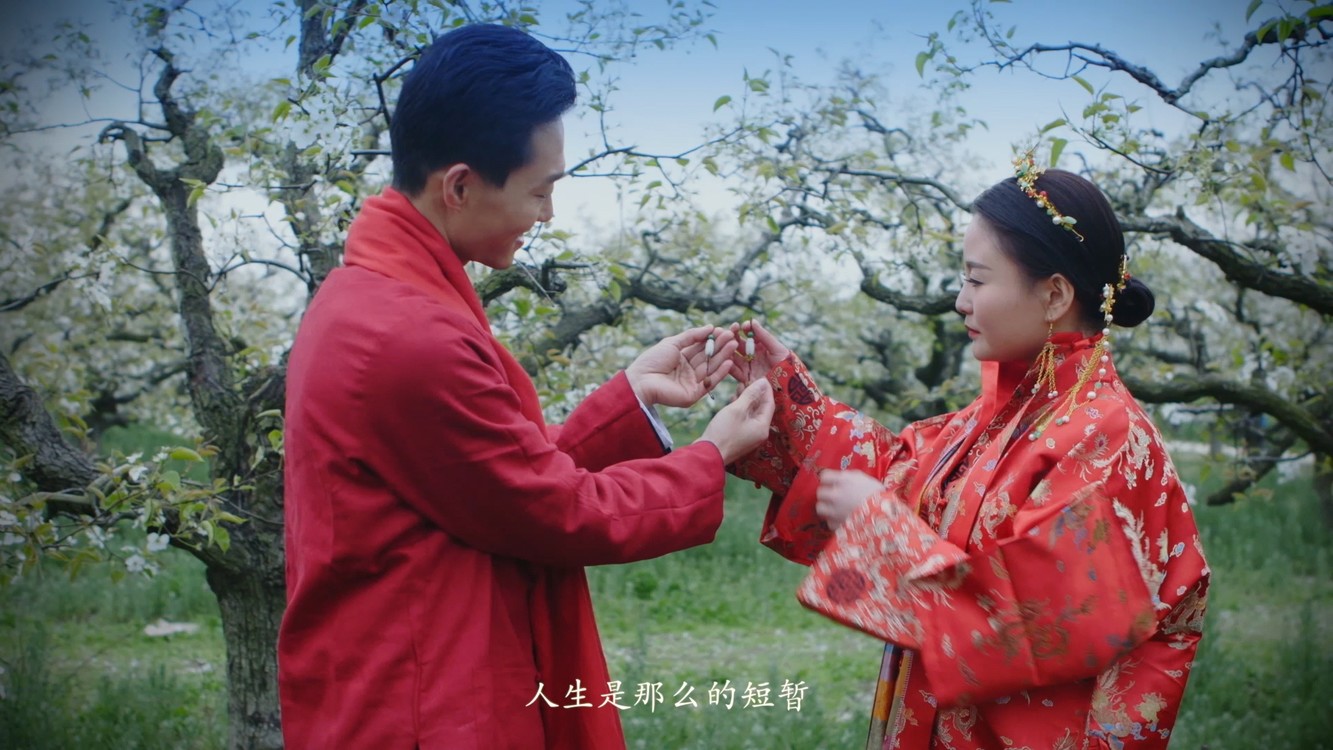  - 楚剧戏歌双玉蝉