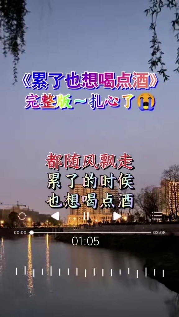 伤感音乐 #累了也想喝点酒#完整版 #扎心#热门推荐