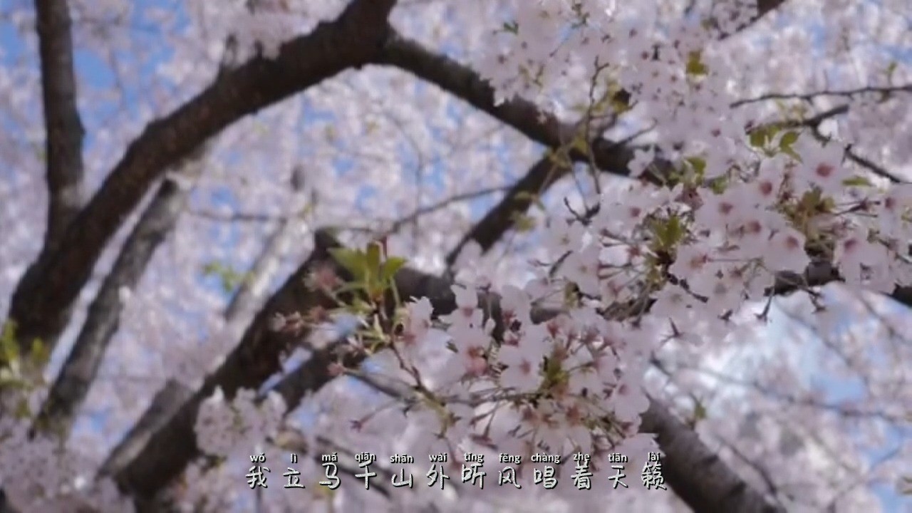  - 赵梓婷《我从草原来》