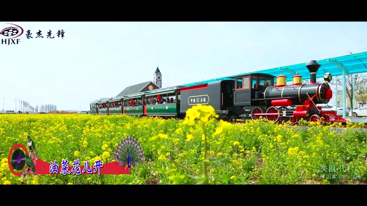  - 坐上小火车，看山东代村油菜花儿开