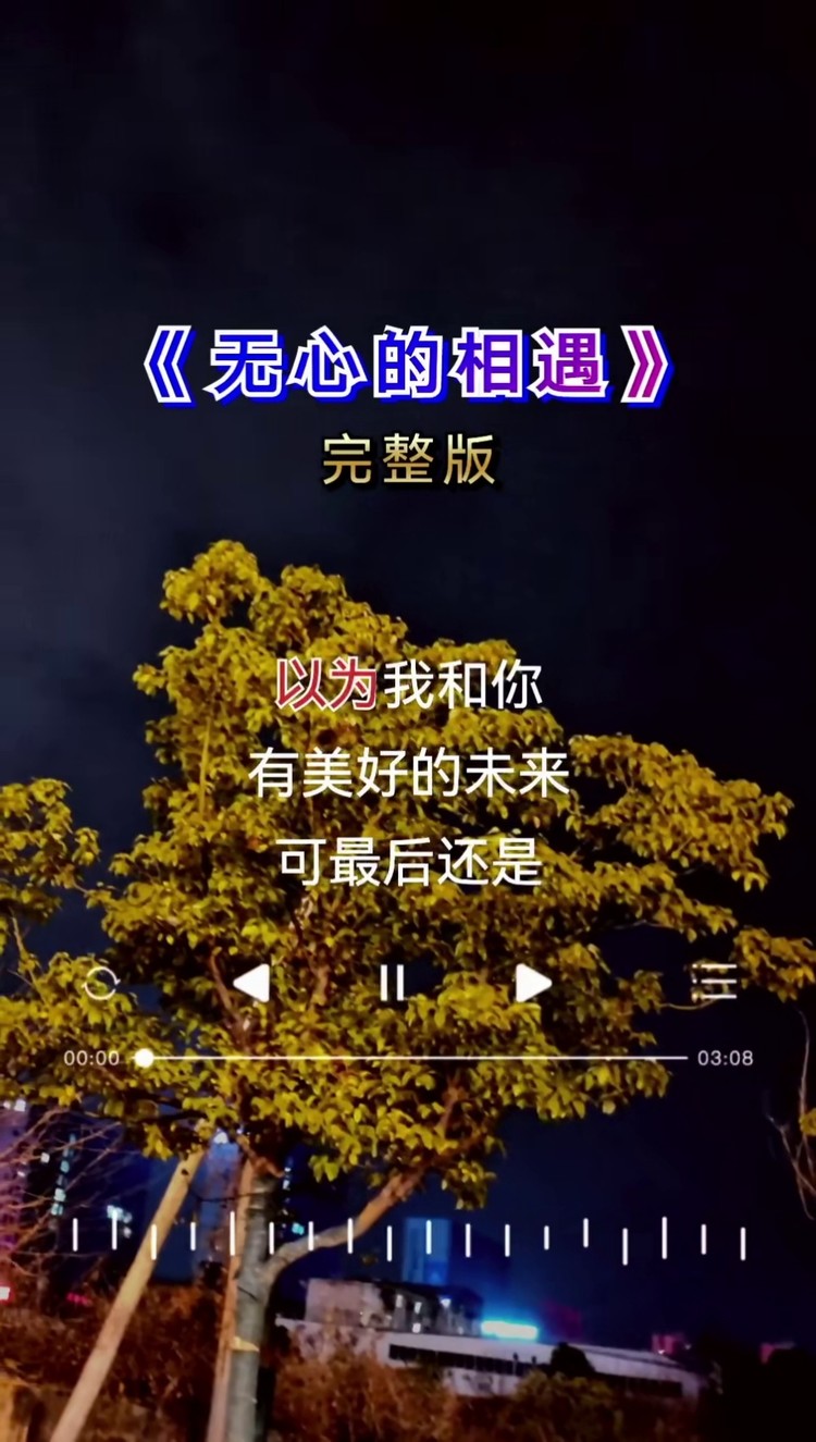 无心的相遇曲谱图片